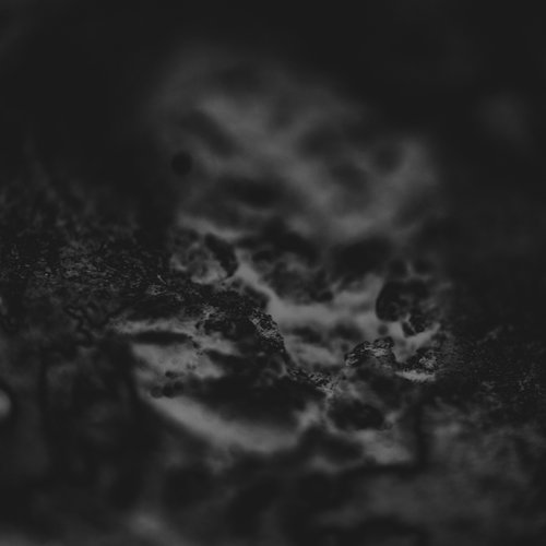 vignette lichtenberg 6